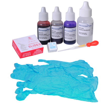 Omano Gram Stains Kit