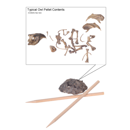 Omano Owl Pellet Kits