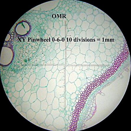 Motic Reticle, Cross line with micrometer (100 divisions in 10mm)