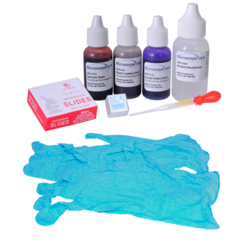 Omano Gram Stains Kit