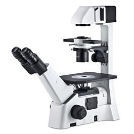 Motic AE31 Elite LED Inverted Phase Contrast Microscope