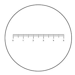 MA281 5mm line divided into 100 units